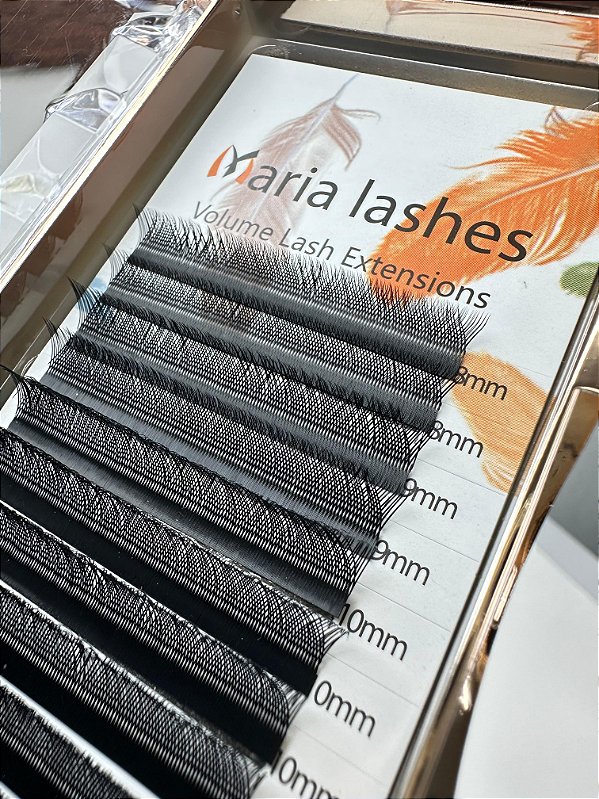 Fio Y Maria Lashes curvatura B