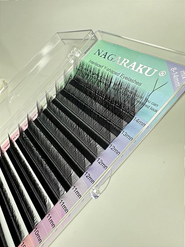 Nagaraku Y Curvatura L