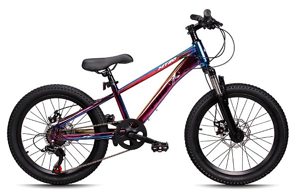 Bicicleta MTB Aro 20" Pro-X MT20 Camaleão Cambio Shimano