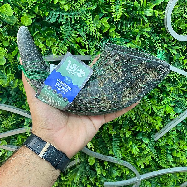 Chifre de Búfalo - LUV