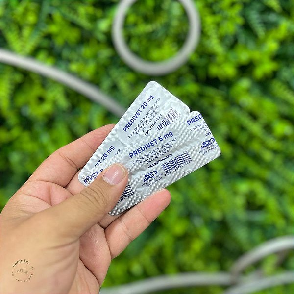 Predivet 10 comprimidos - Mundo Animal