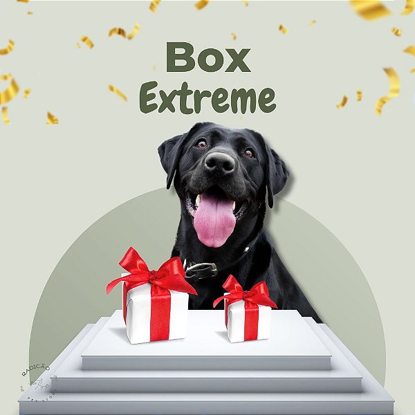 Box RadiCão Extreme