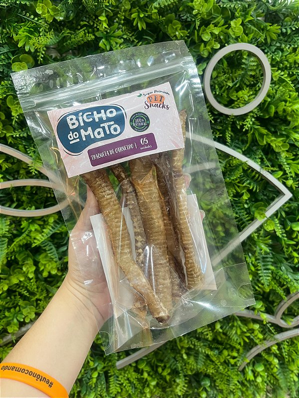 Traqueia de Carneiro 5un - Bicho do Mato