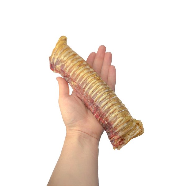 Play Roll