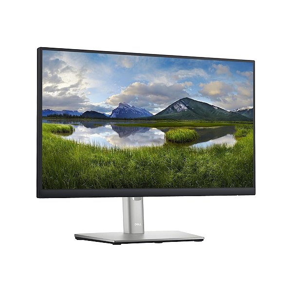 Monitor 21,5" Dell P2222H LCD Full HD HDMI Preto
