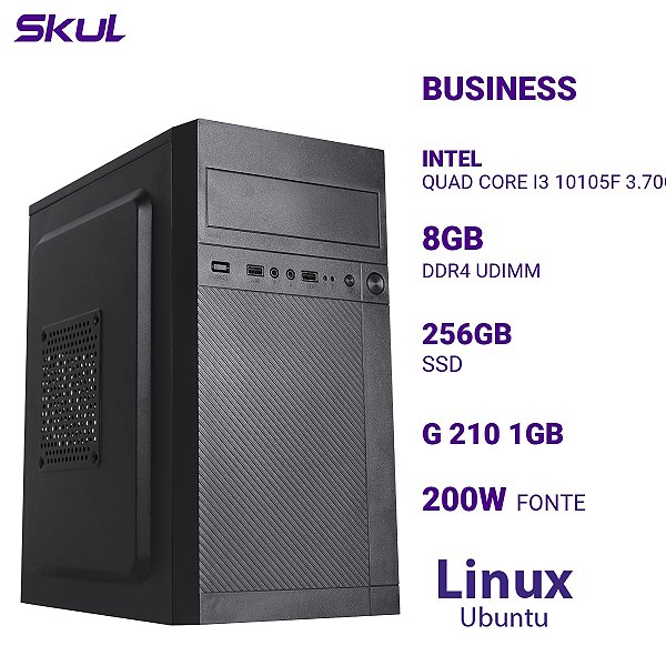 PC Skul B300 Quad Core I3 10105f 3.70ghz 8gb Ssd 256gb G 210 1gb Linux