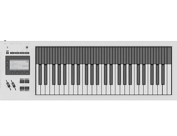 Controlador MIDI MPE Expressive E Osmose CE 49 - Produto Novo