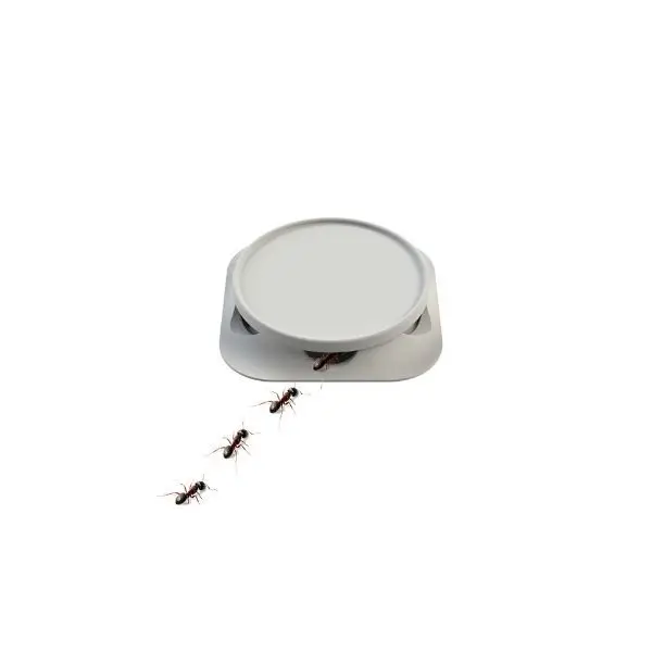 Porta Isca Para Formigas E Baratas