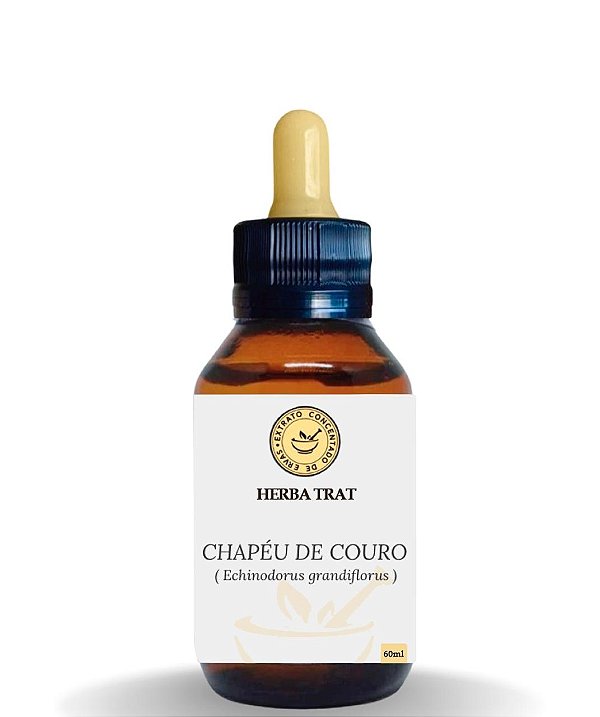 CHAPÉU DE COURO - EXTRATO 60ML ( Tintura Mãe )