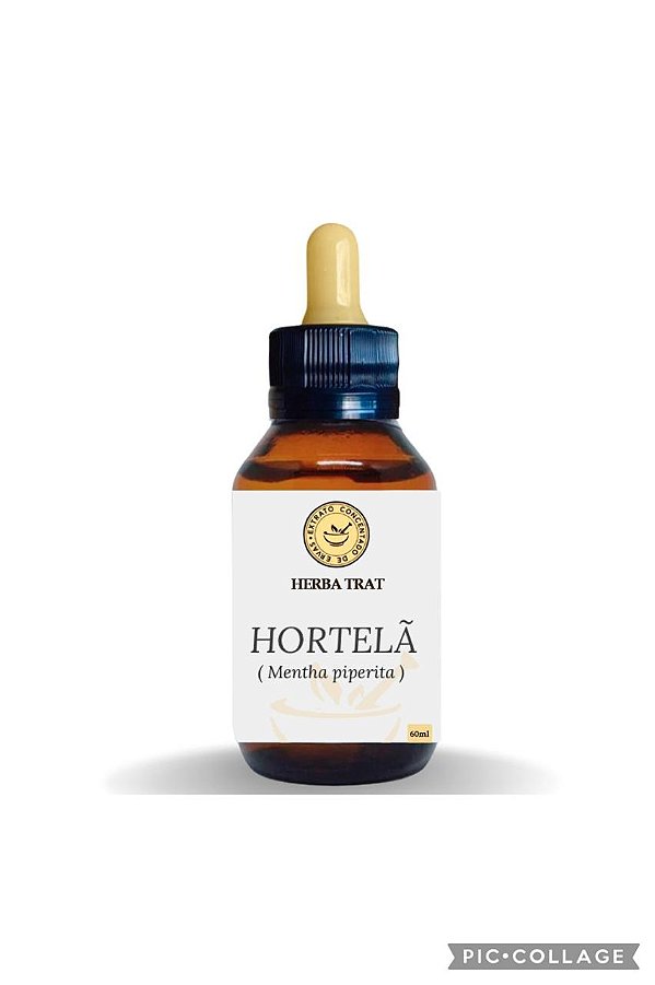 Hortelã - Extrato 60ml