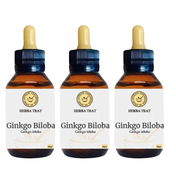 GINKGO BILOBA -  EXTRATO 60ML ( Tintura Mãe ) KIT COM 03 UNIDADES