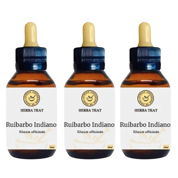 RUIBARBO INDIANO - EXTRATO 60ML KIT COM 03 UNIDADES