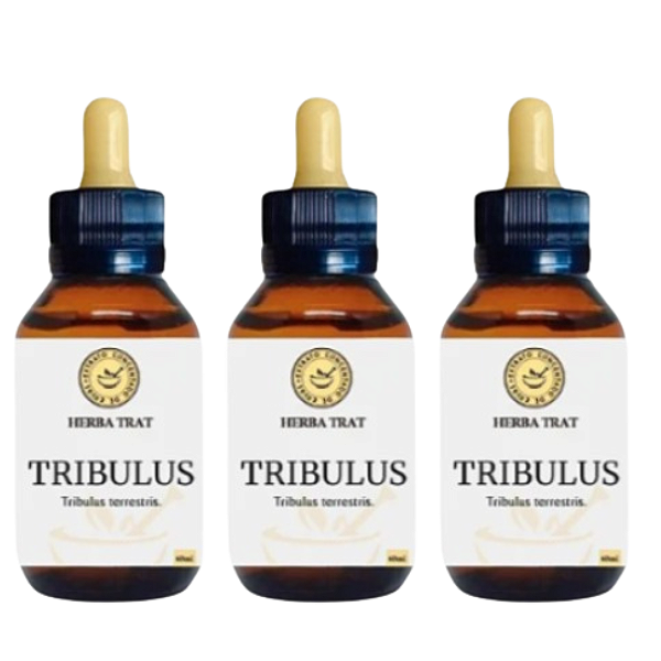 TRIBULUS TERRESTRES - EXTRATO 60ML KIT COM 3 UNIDADES