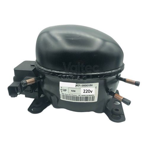 Motor compressor geladeira 1/3 em2x3125u r290 220v