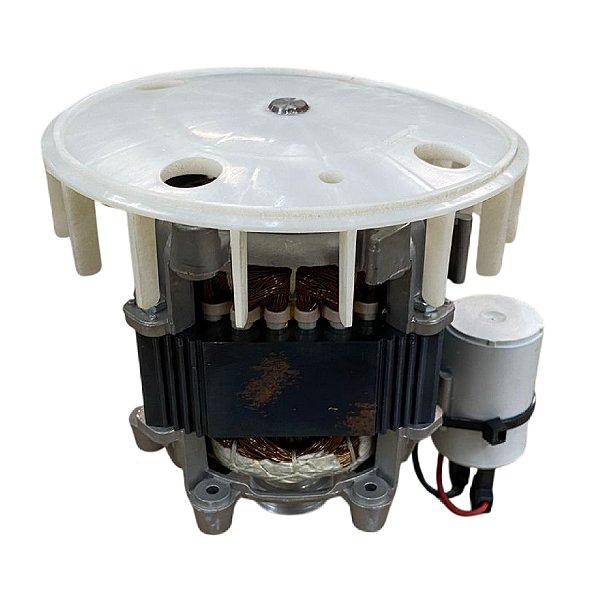 Motor Lavadora Tanquinho Mueller Poptank 4P 1/8CV 220V