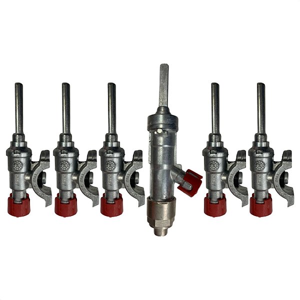 Kit Registro Ramal Fogão Piacere Vetro 5b Inox G6