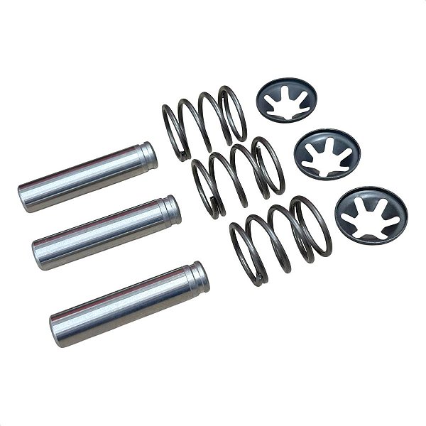 Conjunto Pistão Lavadora de Alta Pressão Electrolux EAS20
