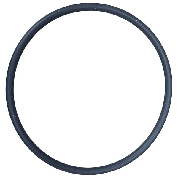 Gaxeta da Bomba Lava Louça Brastemp Consul BLF14 CLF12