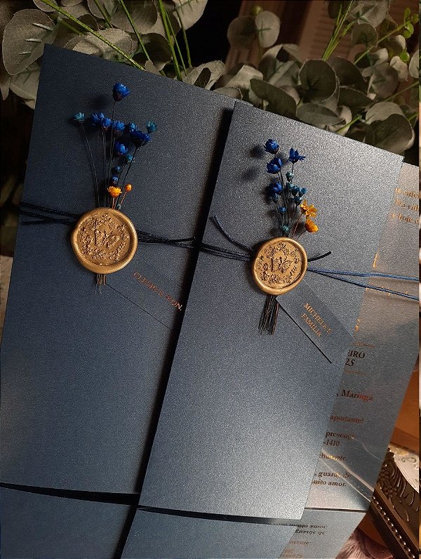 Convite  de 15 anos com transparência