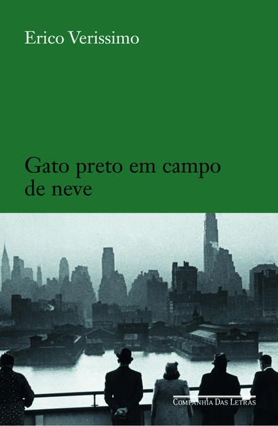 GATO PRETO EM CAMPO DE NEVE