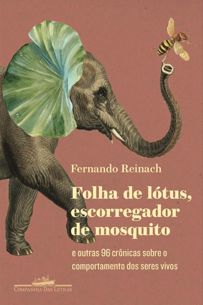 FOLHA DE LÓTUS, ESCORREGADOR DE MOSQUITO