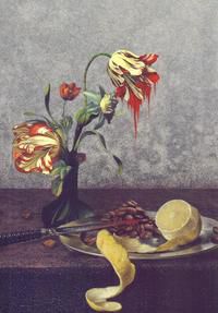 MAX HAVELAAR