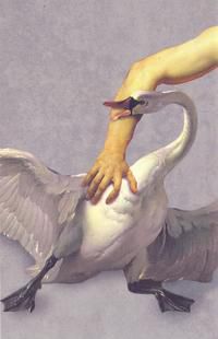 UMA VIDA INTERROMPIDA