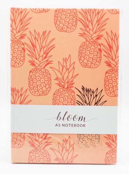 CADERNO BROCHURA A5 PAUTADO SL-NB0017 - ABACAXIS