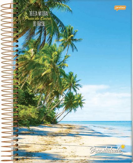 CADERNO A4 ESPIRAL 10M CD BRASILIDADE 160FLS