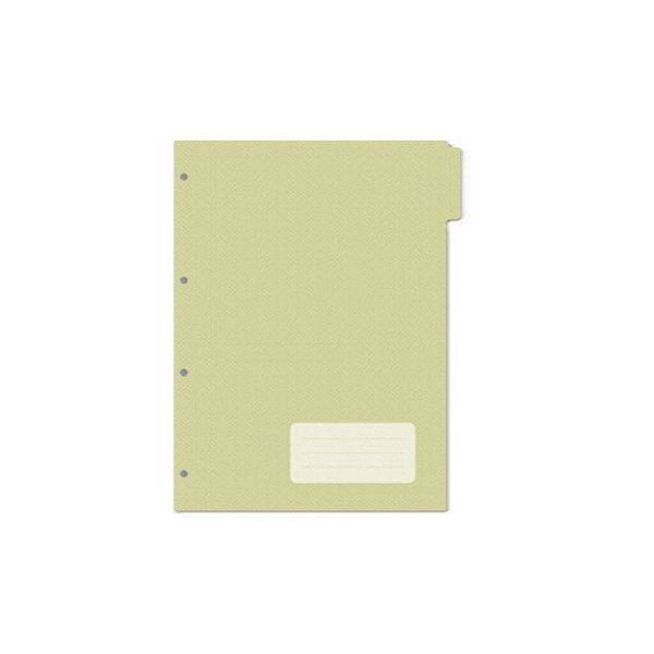 DIVISORIA P/ FICHARIO OTIMA BELLE 183X245 3514-3 VD