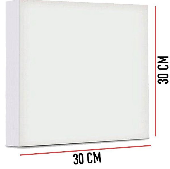 TELA DE PINTURA SOUZA 30X30