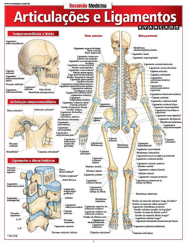 ARTICULAÇÕES E LIGAMENTOS AVANÇADO