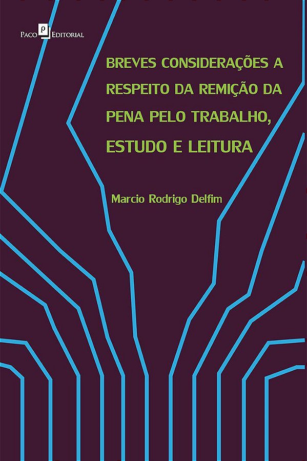 BREVES CONSIDERAÇÕES A RESPEITO DA REMIÇÃO DA PENA PELO TRABALHO, ESTUDO E LEITURA