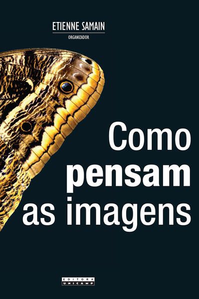 COMO PENSAM AS IMAGENS