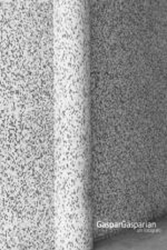 GASPAR GASPARIN - UM FOTOGRAFO