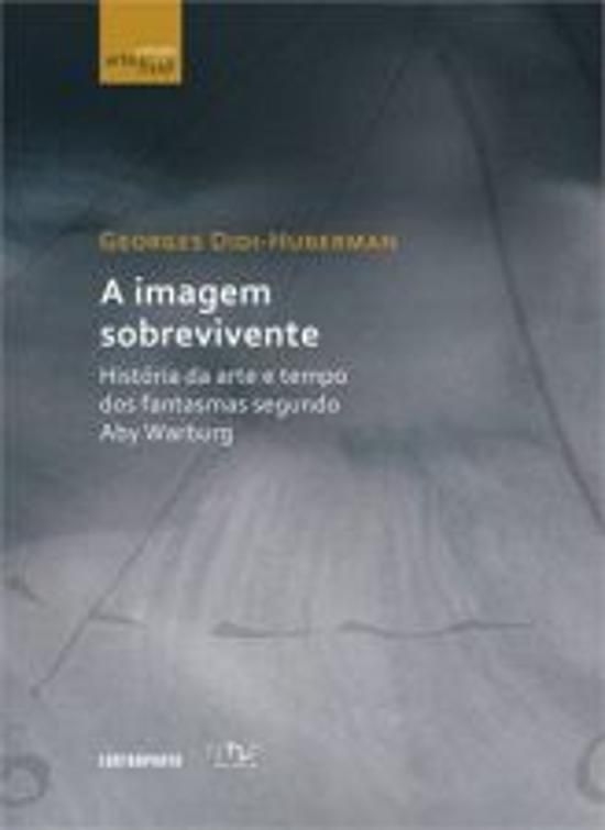 IMAGEM SOBREVIVENTE, A