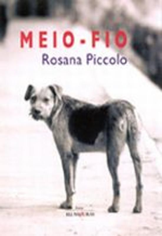 MEIO-FIO