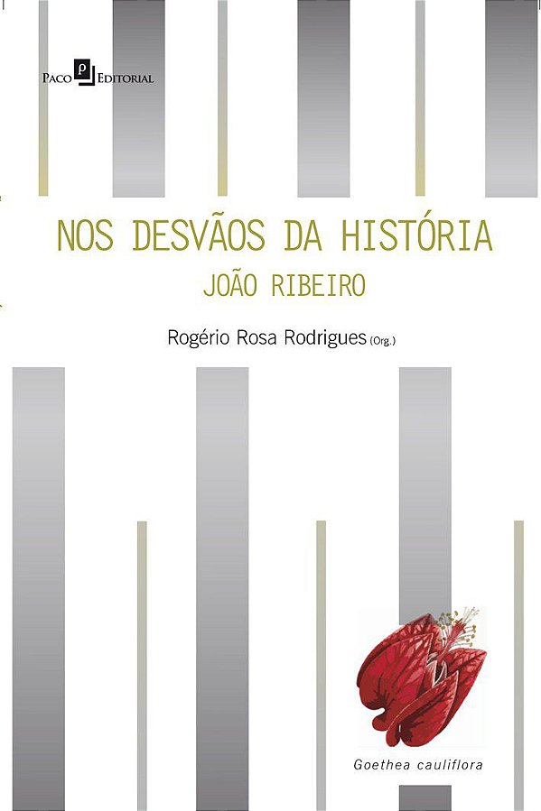 NOS DESVÃOS DA HISTÓRIA