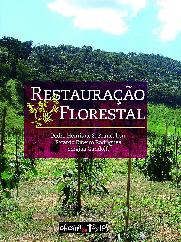 RESTAURAÇÃO FLORESTAL