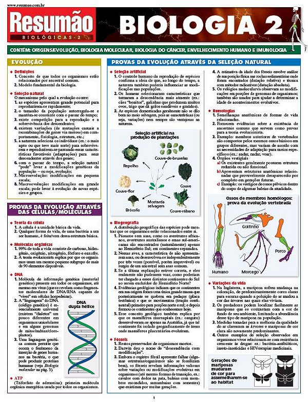 BIOLOGIA 2