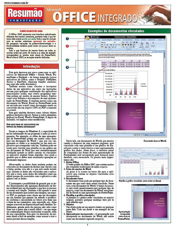MICROSOFT OFFICE INTEGRADO
