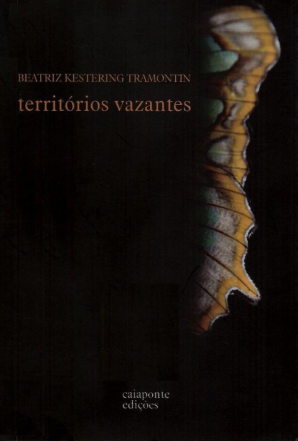 TERRITÓRIOS VAZANTES