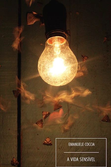 A VIDA SENSÍVEL