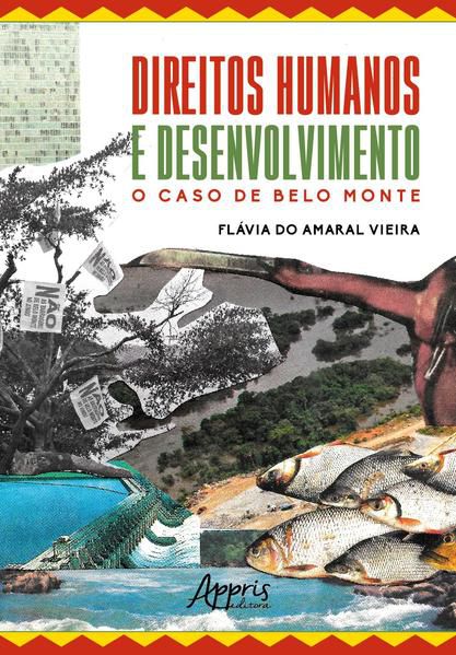 DIREITOS HUMANOS E DESENVOLVIMENTO - O CASO DE BELO MONTE