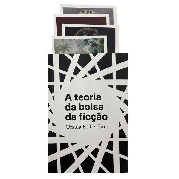 A TEORIA DA BOLSA DE FICÇÃO