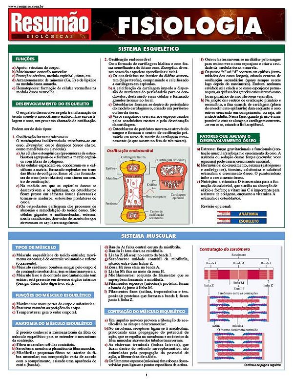 FISIOLOGIA