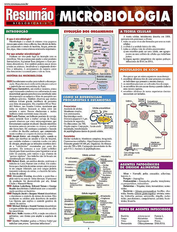 RESUMÃO: MICROBIOLOGIA