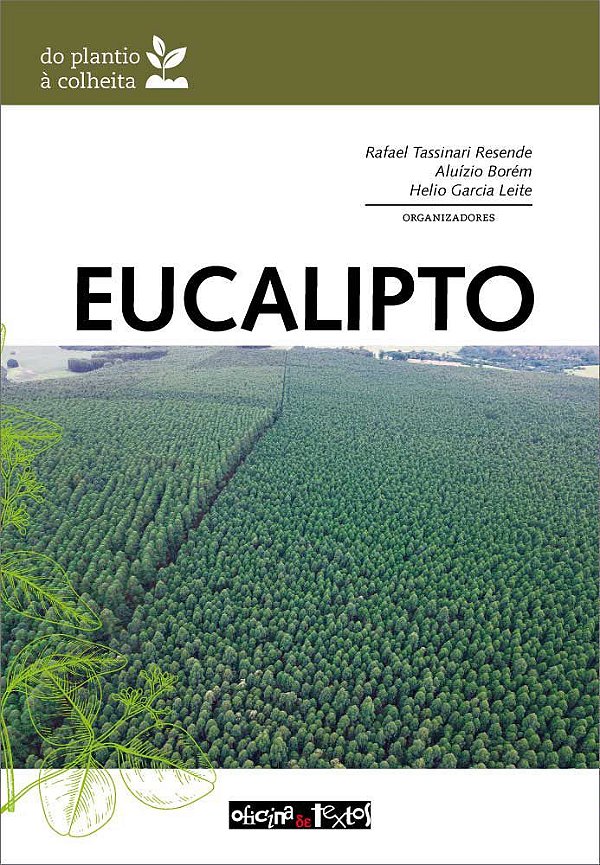 EUCALIPTO