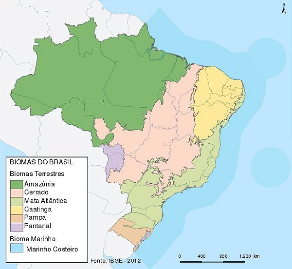 MAPA - BRASIL BIOMAS DOBRADO