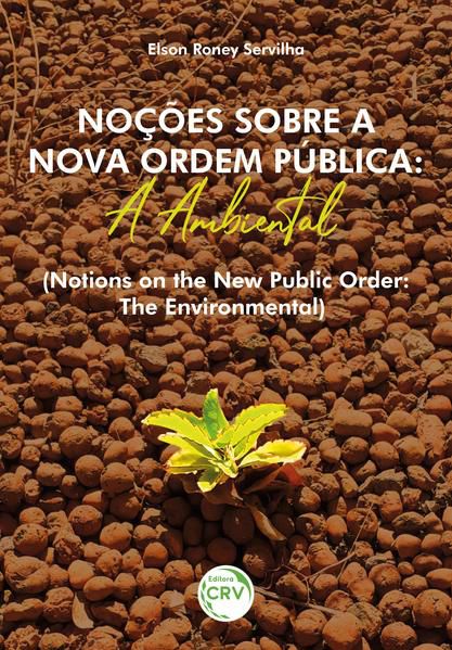 NOÇÕES SOBRE A NOVA ORDEM PÚBLICA